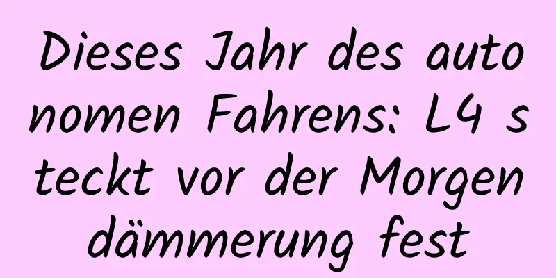 Dieses Jahr des autonomen Fahrens: L4 steckt vor der Morgendämmerung fest