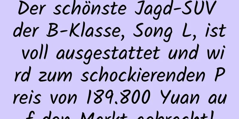 Der schönste Jagd-SUV der B-Klasse, Song L, ist voll ausgestattet und wird zum schockierenden Preis von 189.800 Yuan auf den Markt gebracht!