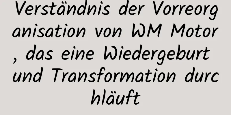 Verständnis der Vorreorganisation von WM Motor, das eine Wiedergeburt und Transformation durchläuft