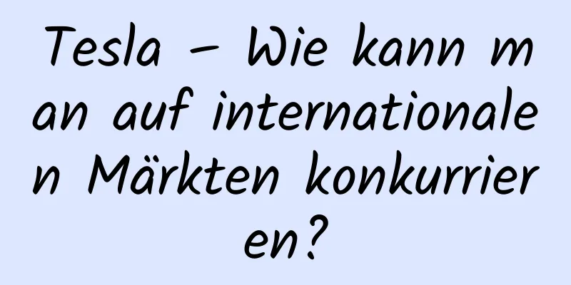 Tesla – Wie kann man auf internationalen Märkten konkurrieren?