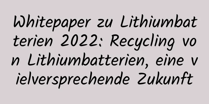 Whitepaper zu Lithiumbatterien 2022: Recycling von Lithiumbatterien, eine vielversprechende Zukunft