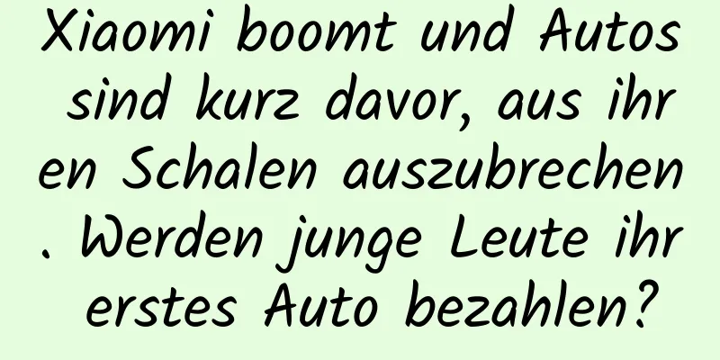 Xiaomi boomt und Autos sind kurz davor, aus ihren Schalen auszubrechen. Werden junge Leute ihr erstes Auto bezahlen?