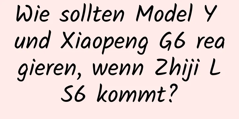 Wie sollten Model Y und Xiaopeng G6 reagieren, wenn Zhiji LS6 kommt?
