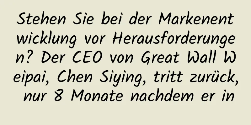 Stehen Sie bei der Markenentwicklung vor Herausforderungen? Der CEO von Great Wall Weipai, Chen Siying, tritt zurück, nur 8 Monate nachdem er in