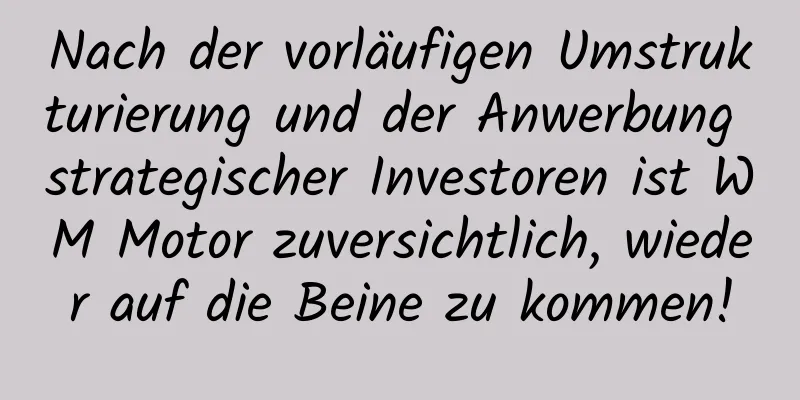 Nach der vorläufigen Umstrukturierung und der Anwerbung strategischer Investoren ist WM Motor zuversichtlich, wieder auf die Beine zu kommen!