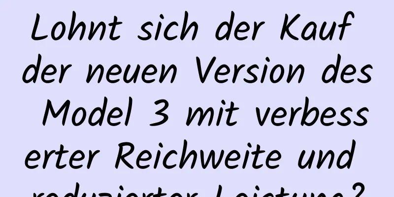 Lohnt sich der Kauf der neuen Version des Model 3 mit verbesserter Reichweite und reduzierter Leistung?