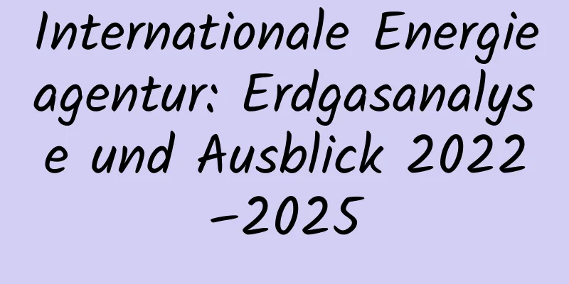Internationale Energieagentur: Erdgasanalyse und Ausblick 2022–2025
