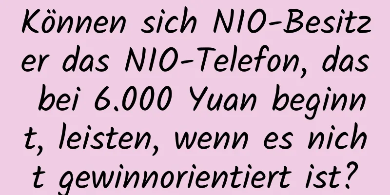 Können sich NIO-Besitzer das NIO-Telefon, das bei 6.000 Yuan beginnt, leisten, wenn es nicht gewinnorientiert ist?