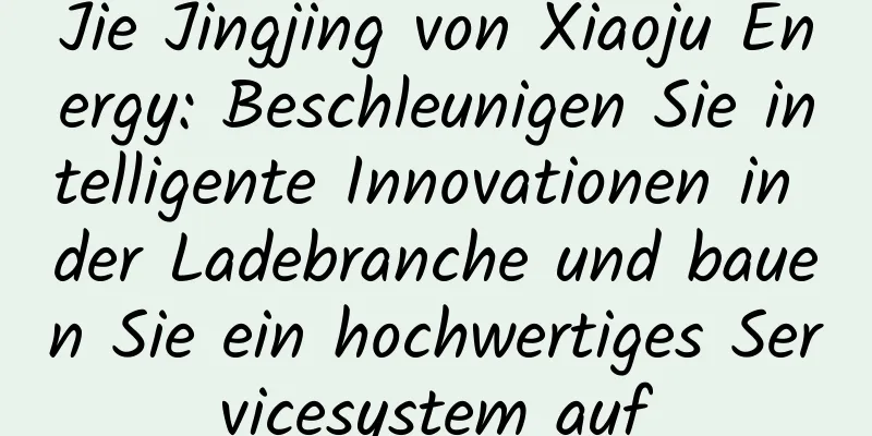 Jie Jingjing von Xiaoju Energy: Beschleunigen Sie intelligente Innovationen in der Ladebranche und bauen Sie ein hochwertiges Servicesystem auf