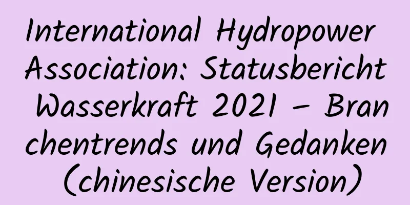 International Hydropower Association: Statusbericht Wasserkraft 2021 – Branchentrends und Gedanken (chinesische Version)