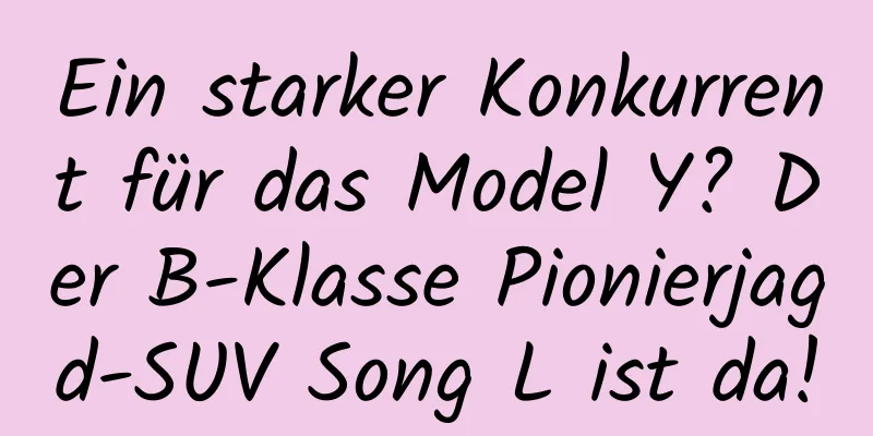 Ein starker Konkurrent für das Model Y? Der B-Klasse Pionierjagd-SUV Song L ist da!