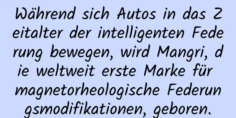 Während sich Autos in das Zeitalter der intelligenten Federung bewegen, wird Mangri, die weltweit erste Marke für magnetorheologische Federungsmodifikationen, geboren.