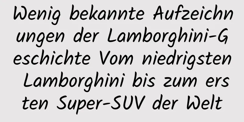 Wenig bekannte Aufzeichnungen der Lamborghini-Geschichte Vom niedrigsten Lamborghini bis zum ersten Super-SUV der Welt