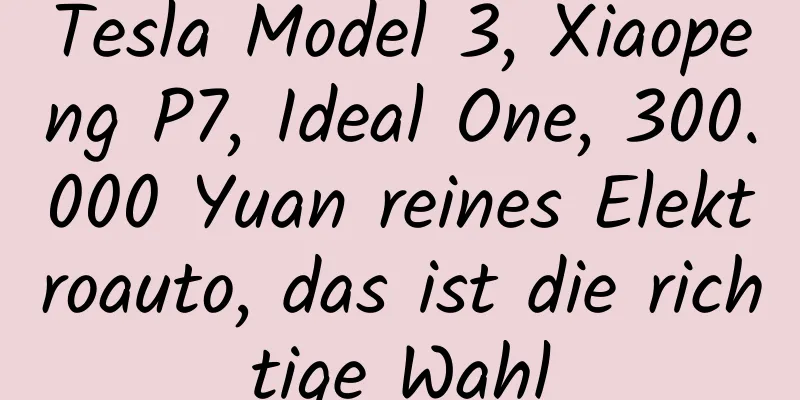 Tesla Model 3, Xiaopeng P7, Ideal One, 300.000 Yuan reines Elektroauto, das ist die richtige Wahl