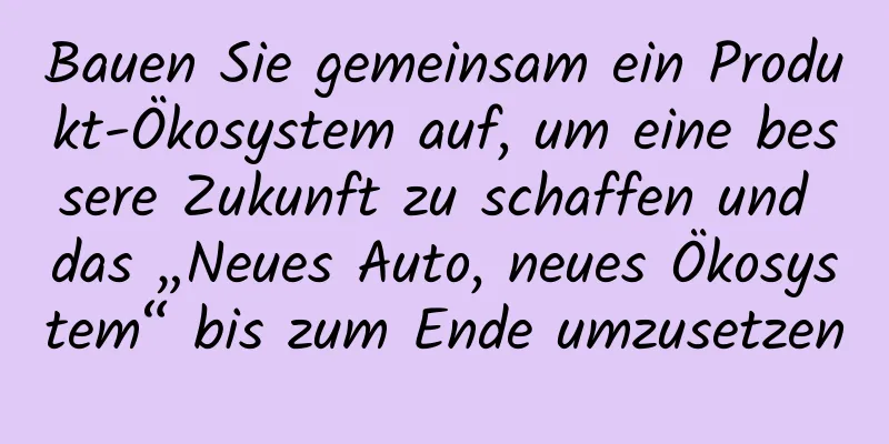 Bauen Sie gemeinsam ein Produkt-Ökosystem auf, um eine bessere Zukunft zu schaffen und das „Neues Auto, neues Ökosystem“ bis zum Ende umzusetzen