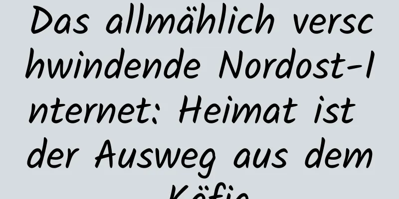 Das allmählich verschwindende Nordost-Internet: Heimat ist der Ausweg aus dem Käfig
