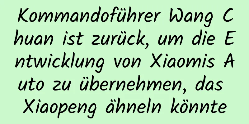 Kommandoführer Wang Chuan ist zurück, um die Entwicklung von Xiaomis Auto zu übernehmen, das Xiaopeng ähneln könnte