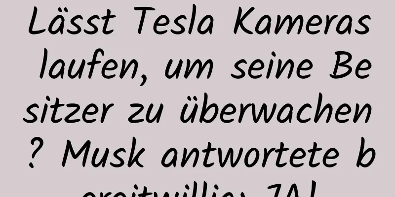 Lässt Tesla Kameras laufen, um seine Besitzer zu überwachen? Musk antwortete bereitwillig: JA!