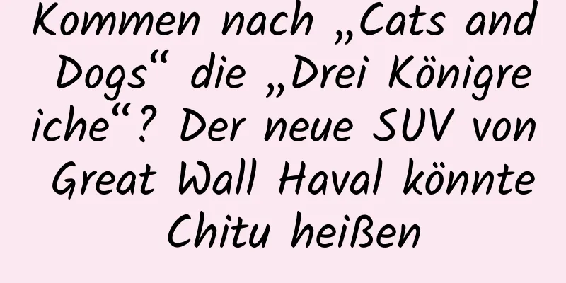 Kommen nach „Cats and Dogs“ die „Drei Königreiche“? Der neue SUV von Great Wall Haval könnte Chitu heißen