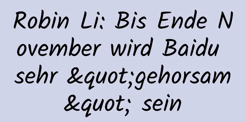 Robin Li: Bis Ende November wird Baidu sehr "gehorsam" sein