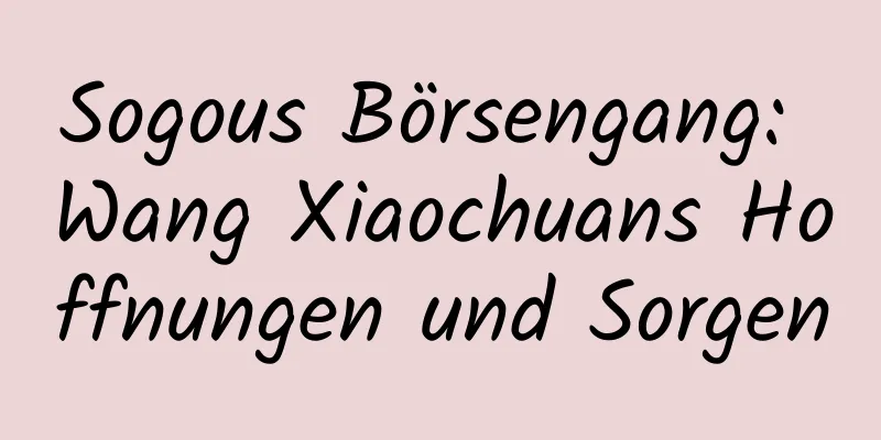 Sogous Börsengang: Wang Xiaochuans Hoffnungen und Sorgen