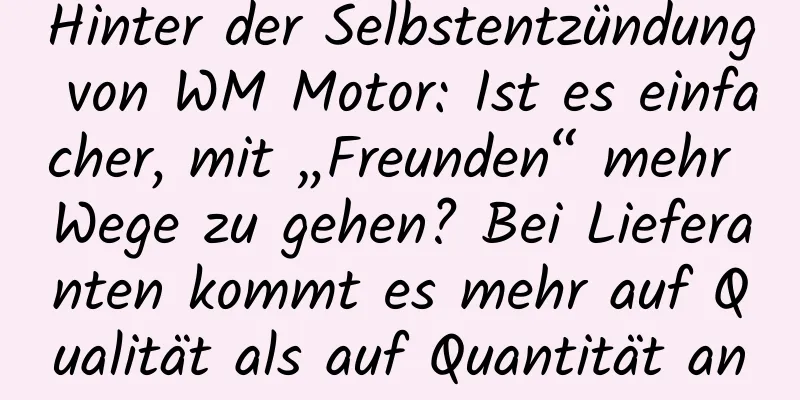 Hinter der Selbstentzündung von WM Motor: Ist es einfacher, mit „Freunden“ mehr Wege zu gehen? Bei Lieferanten kommt es mehr auf Qualität als auf Quantität an