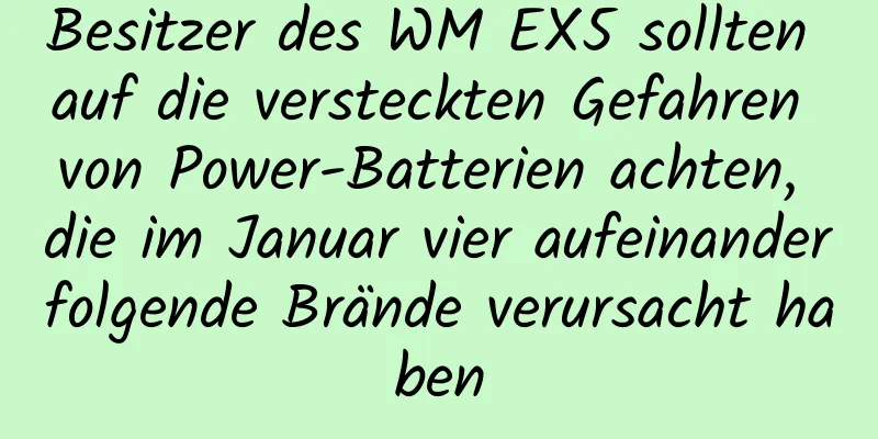 Besitzer des WM EX5 sollten auf die versteckten Gefahren von Power-Batterien achten, die im Januar vier aufeinanderfolgende Brände verursacht haben