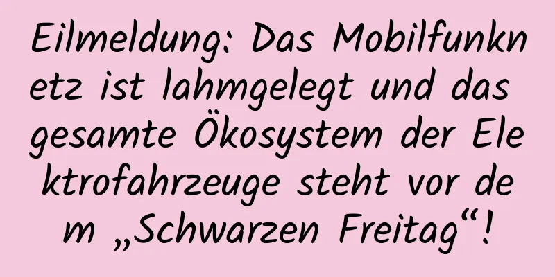Eilmeldung: Das Mobilfunknetz ist lahmgelegt und das gesamte Ökosystem der Elektrofahrzeuge steht vor dem „Schwarzen Freitag“!