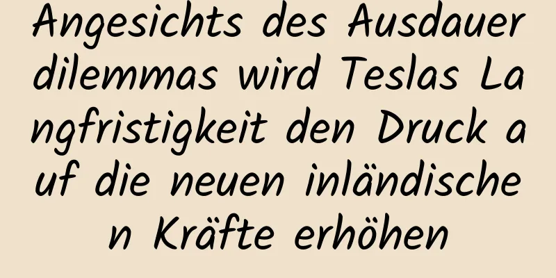 Angesichts des Ausdauerdilemmas wird Teslas Langfristigkeit den Druck auf die neuen inländischen Kräfte erhöhen