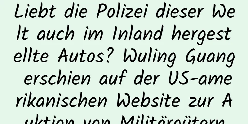 Liebt die Polizei dieser Welt auch im Inland hergestellte Autos? Wuling Guang erschien auf der US-amerikanischen Website zur Auktion von Militärgütern