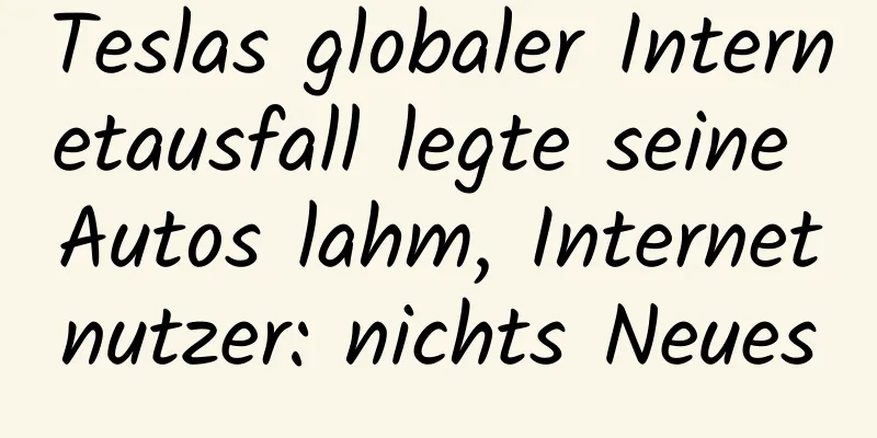 Teslas globaler Internetausfall legte seine Autos lahm, Internetnutzer: nichts Neues