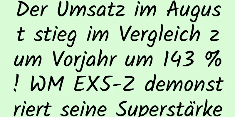 Der Umsatz im August stieg im Vergleich zum Vorjahr um 143 %! WM EX5-Z demonstriert seine Superstärke