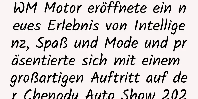 WM Motor eröffnete ein neues Erlebnis von Intelligenz, Spaß und Mode und präsentierte sich mit einem großartigen Auftritt auf der Chengdu Auto Show 2020