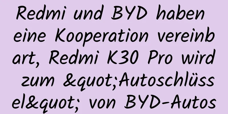 Redmi und BYD haben eine Kooperation vereinbart, Redmi K30 Pro wird zum "Autoschlüssel" von BYD-Autos
