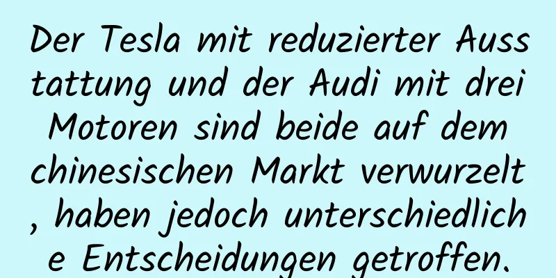 Der Tesla mit reduzierter Ausstattung und der Audi mit drei Motoren sind beide auf dem chinesischen Markt verwurzelt, haben jedoch unterschiedliche Entscheidungen getroffen.