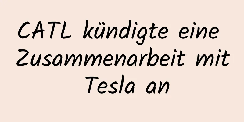 CATL kündigte eine Zusammenarbeit mit Tesla an