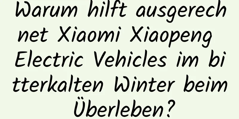 Warum hilft ausgerechnet Xiaomi Xiaopeng Electric Vehicles im bitterkalten Winter beim Überleben?