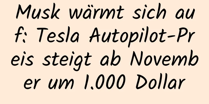Musk wärmt sich auf: Tesla Autopilot-Preis steigt ab November um 1.000 Dollar