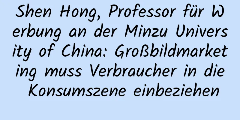 Shen Hong, Professor für Werbung an der Minzu University of China: Großbildmarketing muss Verbraucher in die Konsumszene einbeziehen