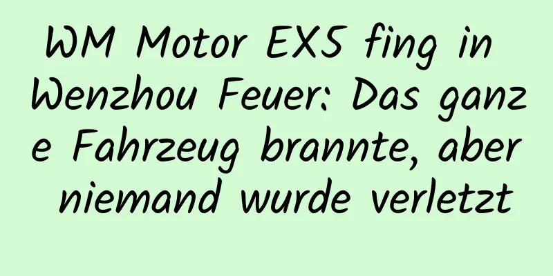 WM Motor EX5 fing in Wenzhou Feuer: Das ganze Fahrzeug brannte, aber niemand wurde verletzt