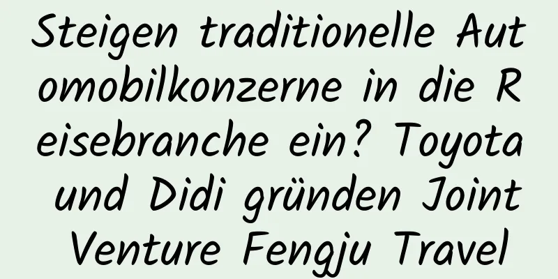 Steigen traditionelle Automobilkonzerne in die Reisebranche ein? Toyota und Didi gründen Joint Venture Fengju Travel