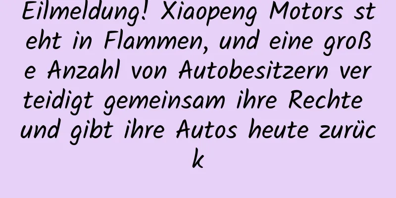 Eilmeldung! Xiaopeng Motors steht in Flammen, und eine große Anzahl von Autobesitzern verteidigt gemeinsam ihre Rechte und gibt ihre Autos heute zurück