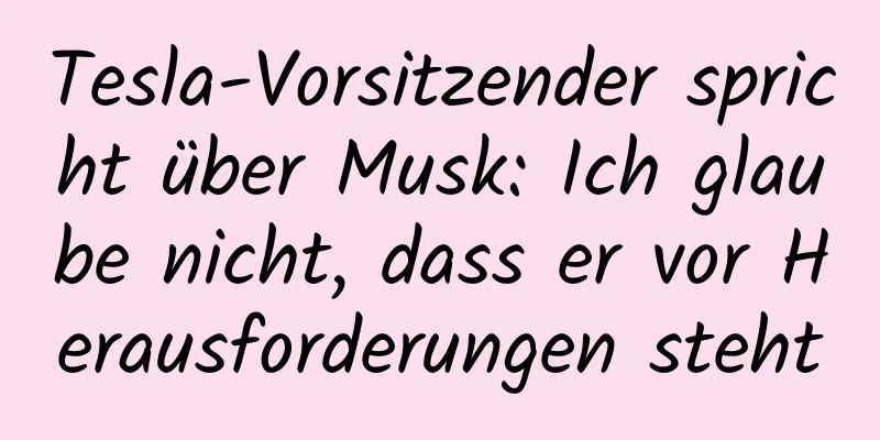 Tesla-Vorsitzender spricht über Musk: Ich glaube nicht, dass er vor Herausforderungen steht