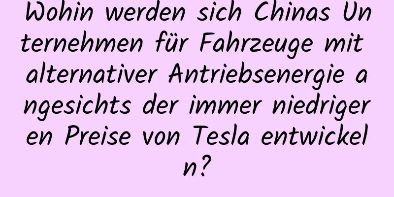 Wohin werden sich Chinas Unternehmen für Fahrzeuge mit alternativer Antriebsenergie angesichts der immer niedrigeren Preise von Tesla entwickeln?