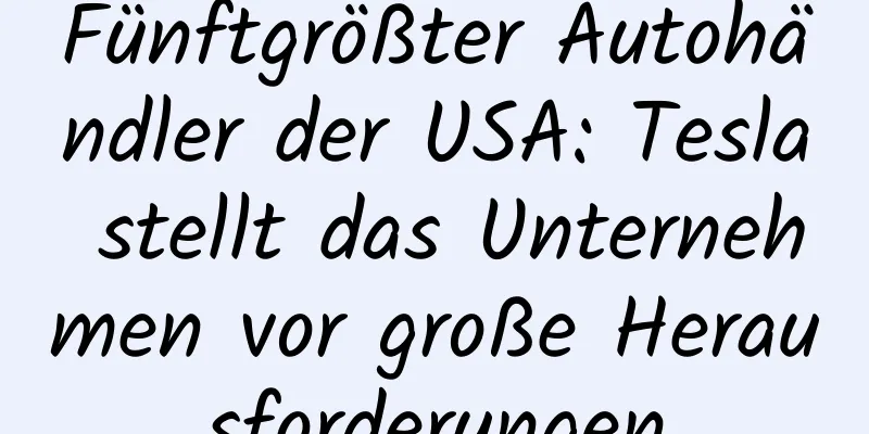 Fünftgrößter Autohändler der USA: Tesla stellt das Unternehmen vor große Herausforderungen