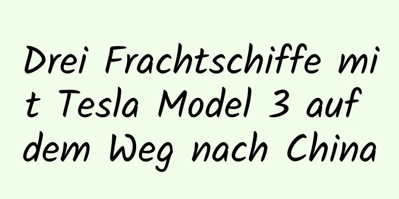 Drei Frachtschiffe mit Tesla Model 3 auf dem Weg nach China