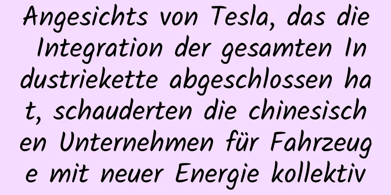 Angesichts von Tesla, das die Integration der gesamten Industriekette abgeschlossen hat, schauderten die chinesischen Unternehmen für Fahrzeuge mit neuer Energie kollektiv