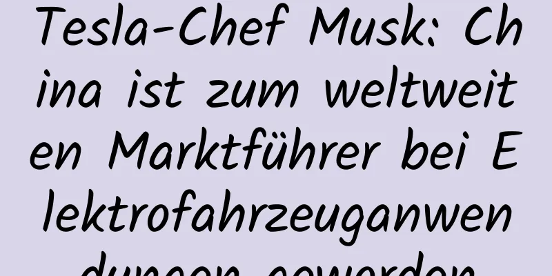Tesla-Chef Musk: China ist zum weltweiten Marktführer bei Elektrofahrzeuganwendungen geworden
