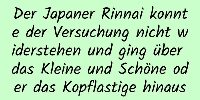 Der Japaner Rinnai konnte der Versuchung nicht widerstehen und ging über das Kleine und Schöne oder das Kopflastige hinaus