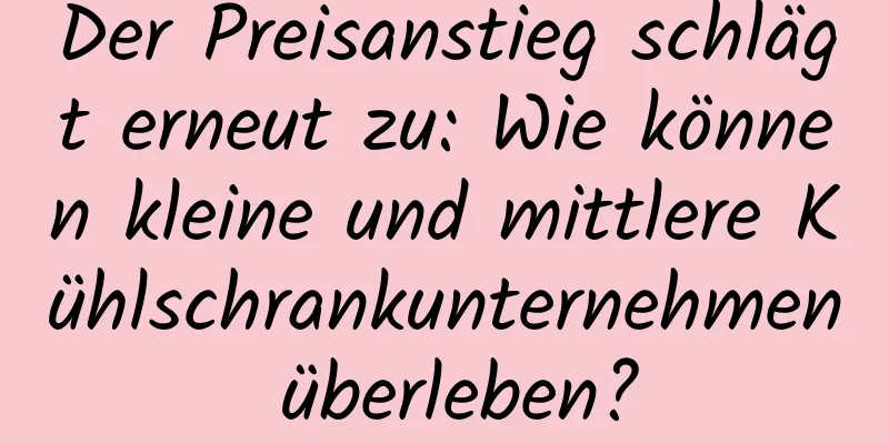 Der Preisanstieg schlägt erneut zu: Wie können kleine und mittlere Kühlschrankunternehmen überleben?